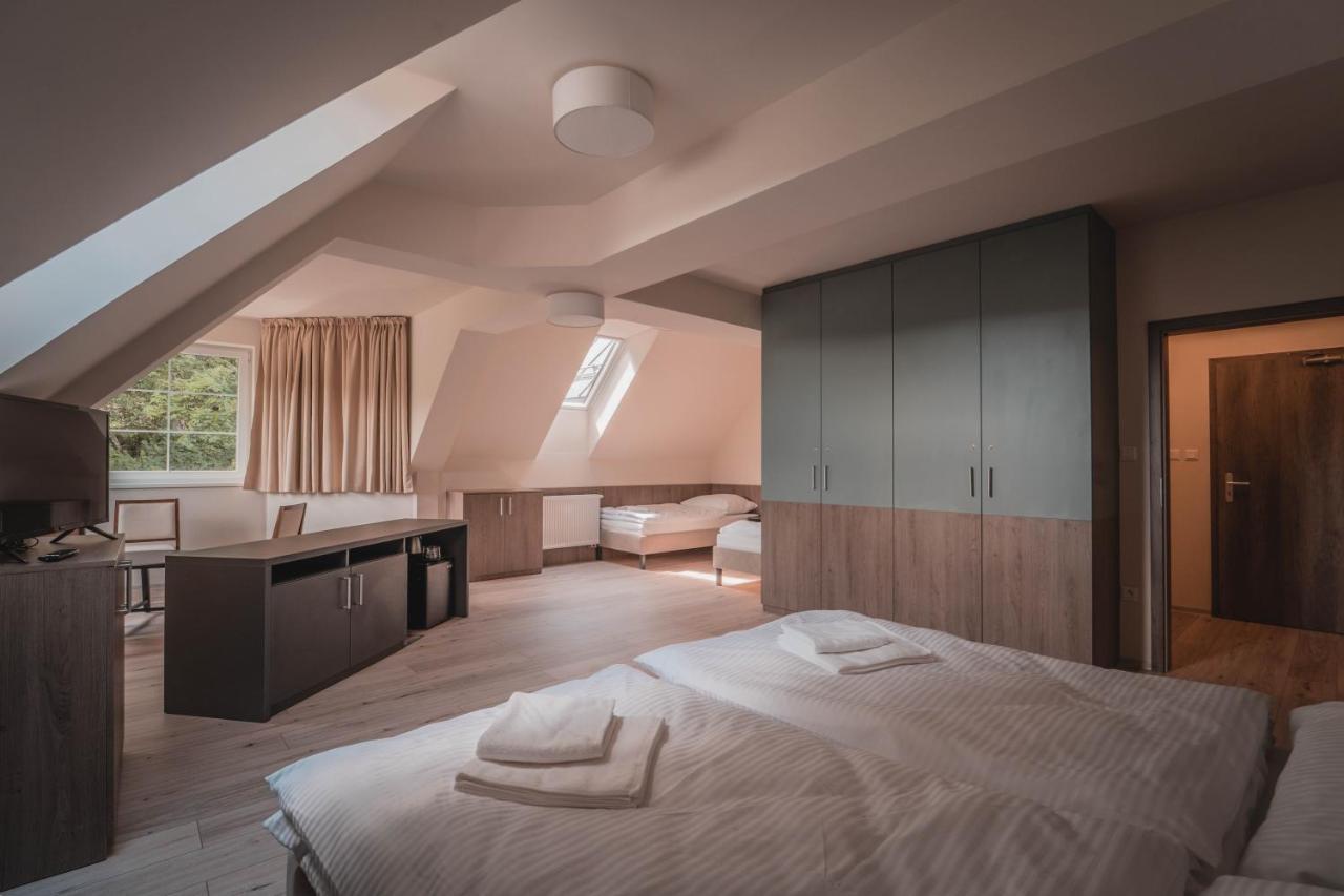 Wellness Penzion Smerdzonka - Kupele Pieniny Červený Kláštor Exteriör bild