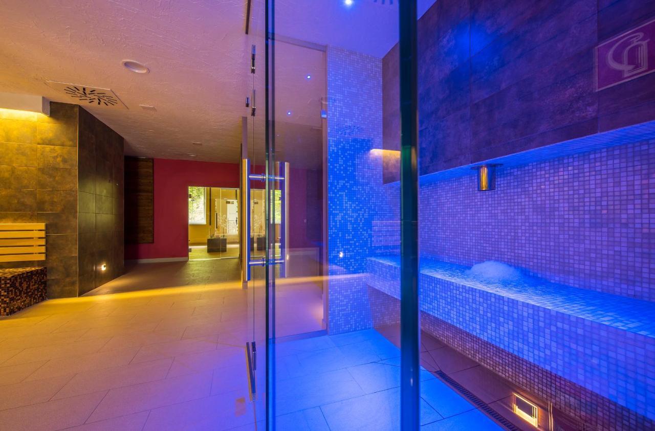 Wellness Penzion Smerdzonka - Kupele Pieniny Červený Kláštor Exteriör bild